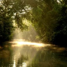 Sundarbans
