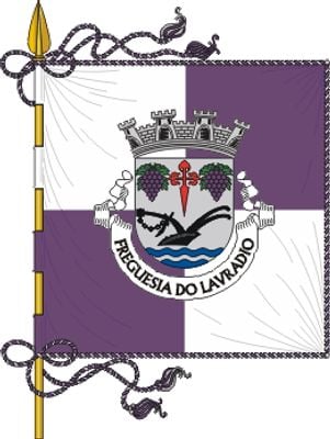 Flag 0