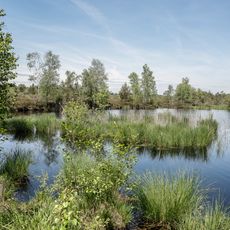 Moore im Salzach-Hügelland