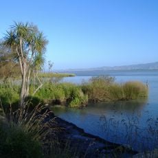Wairarapa Moana Wetlands