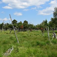 Novodomské rašeliniště – Kovářská