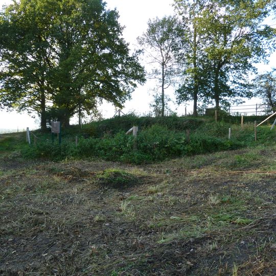 Neolithic flint mines of Banholt