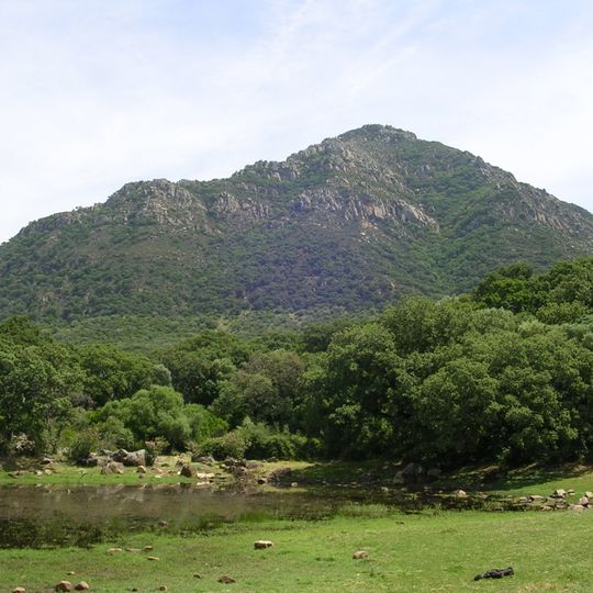 Parc naturel de Los Alcornocales