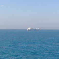 Tutela del Tursiops truncatus