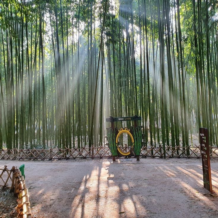 テファガン国立庭園
