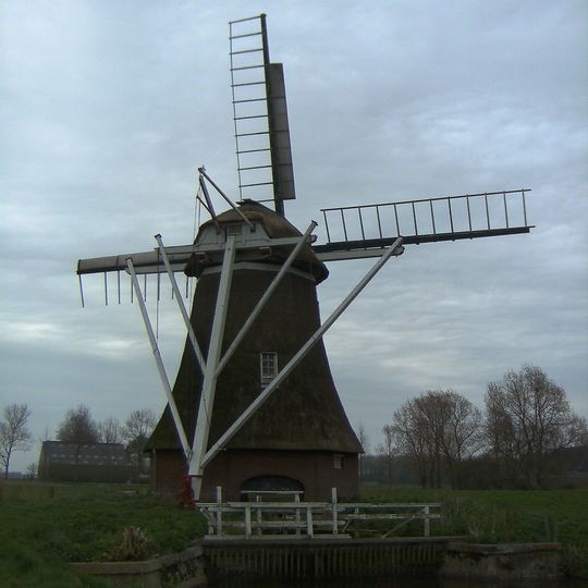 De Zilvermeeuw