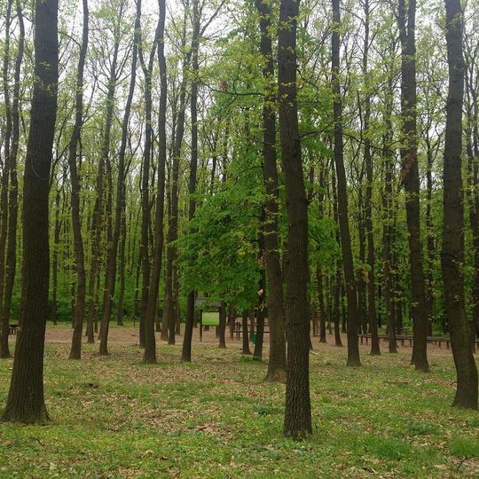 Споменик природе Миљаковачка шума