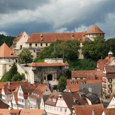 Museum of Ancient Cultures, University Tübingen