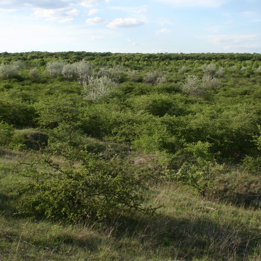 Réserve naturelle du plateau de Tétény