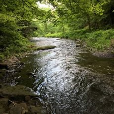 Button Falls