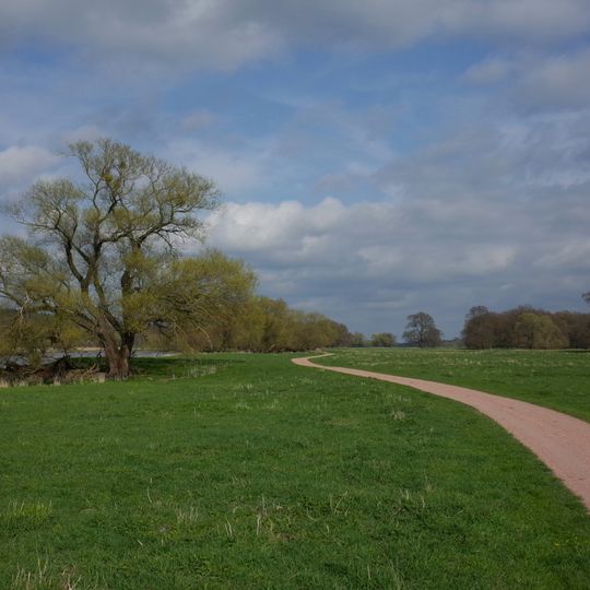 Kühnauer Heide und Elbaue zwischen Aken und Dessau