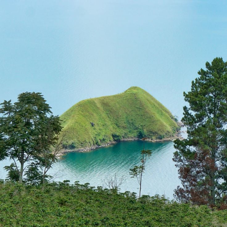 Toba