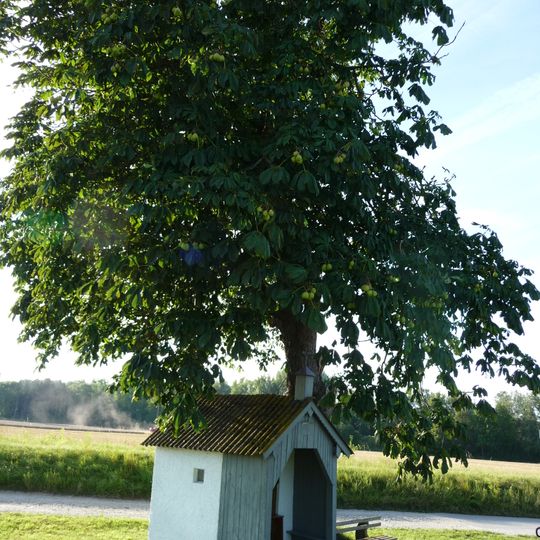 Feldkapelle