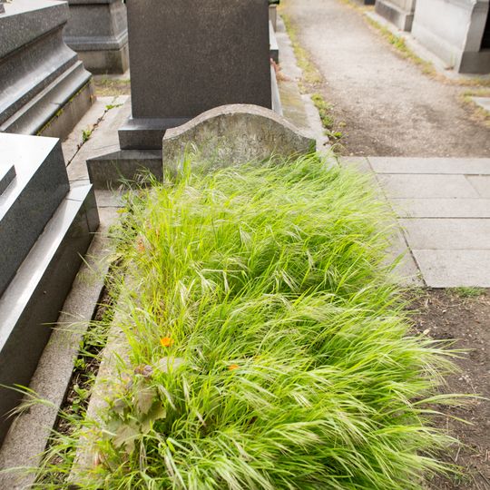 Tombe de Charles Longuet