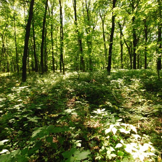 Belmont Mound State Park