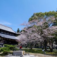 prefettura di Wakayama