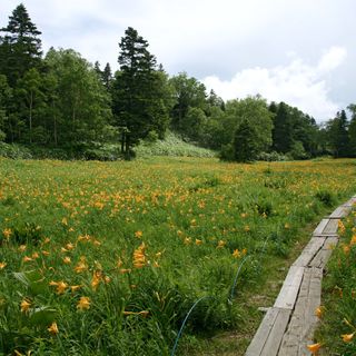 Higashitateyama Alpine Botanical Garden