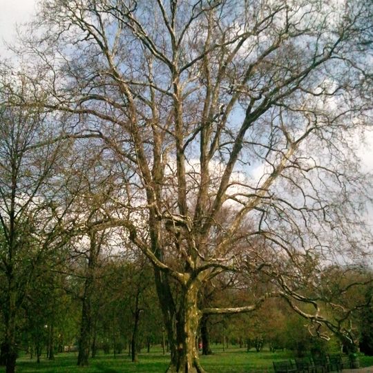 Park Miejski im. Dzieci Wrzesińskich we Wrześni