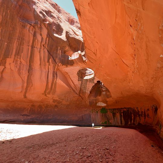 The Golden Cathedral