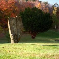 Innisfree Garden