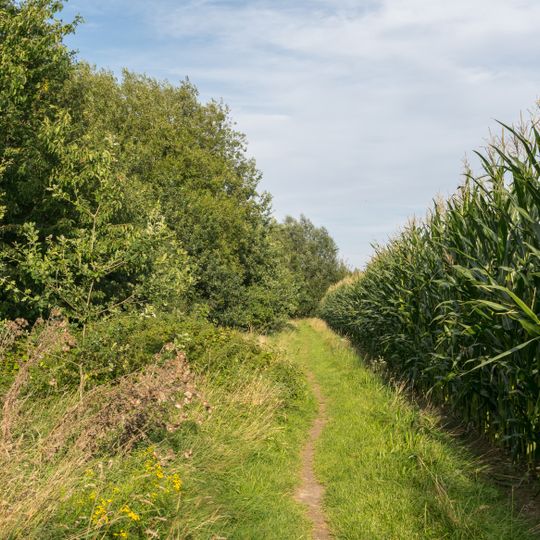 Abgrabung Retlager Bach