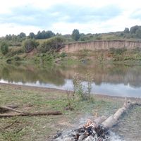 Tselinny District, Altai Krai