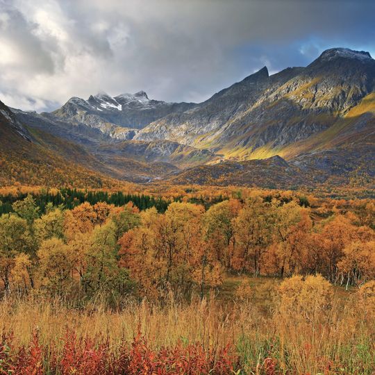 Hinnøya