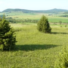 Wiesenthaler Schweiz