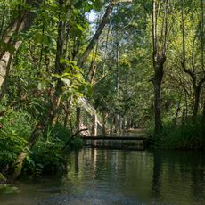 Buchenwald Ranshofen