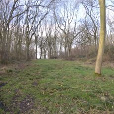 Park Wood, Cambridgeshire