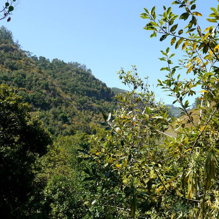 Los Tiles Natural Reserve