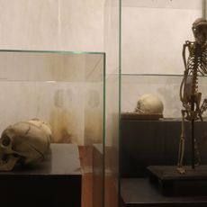 Museum of History of Psychiatry