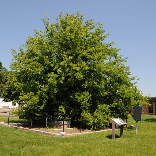 Richneck Plantation Site