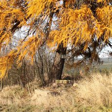 Obrázek severně od Písařova