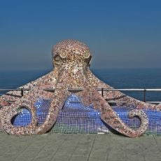 The Octopus