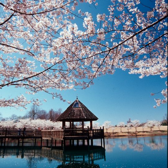 Meadowlark Botanical Gardens