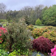 Treborth Botanic Garden