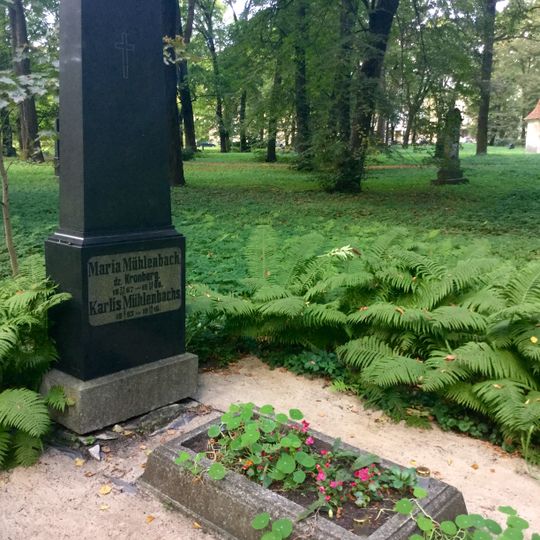 Valodnieka K.Mīlenbaha kaps