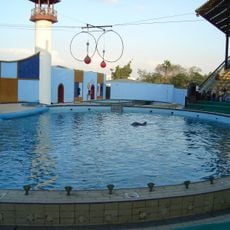 Magic Land