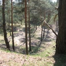 Wein-Berg