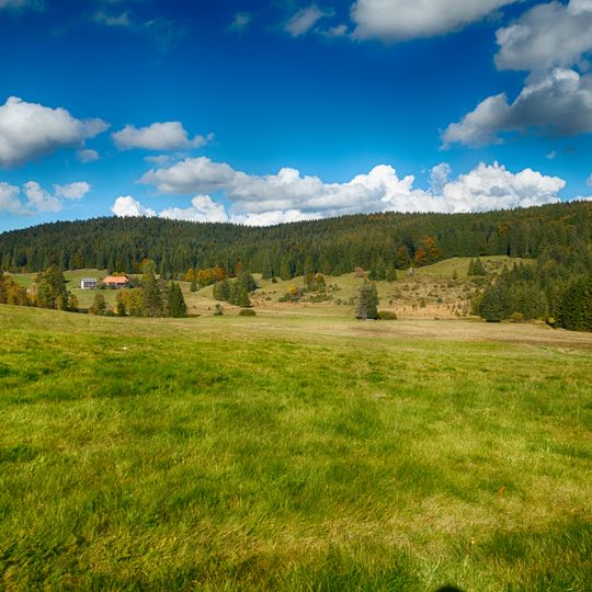 Kirchspielwald-Ibacher Moos