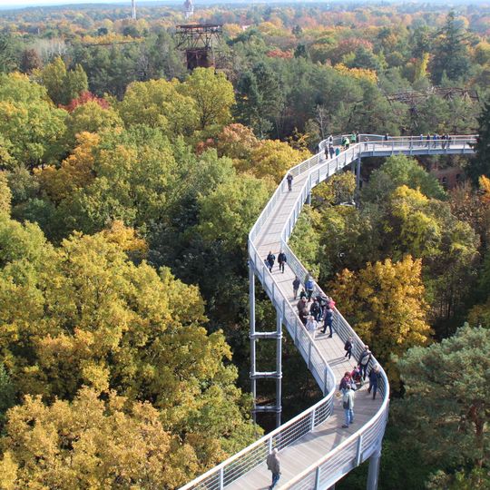 Baumkronenpfad Beelitz-Heilstätten