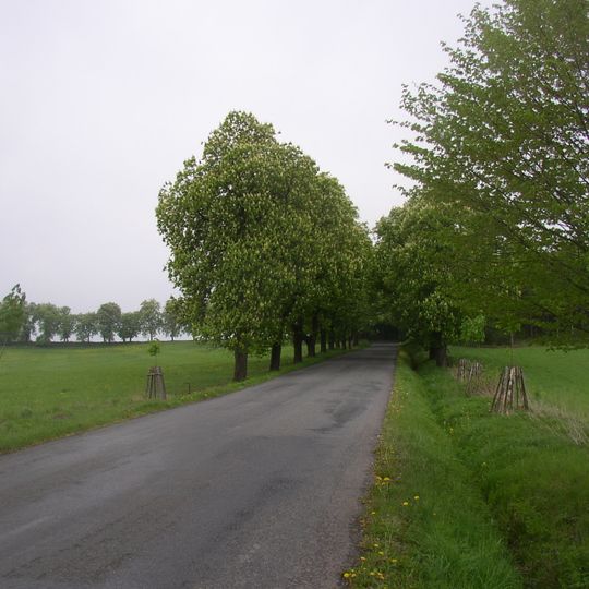 Ploskovská kaštanka