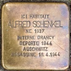 Alfred Schenkel