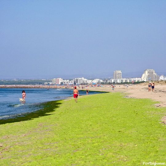 Praia da Ponta da Areia