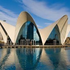 L'Oceanogràfic