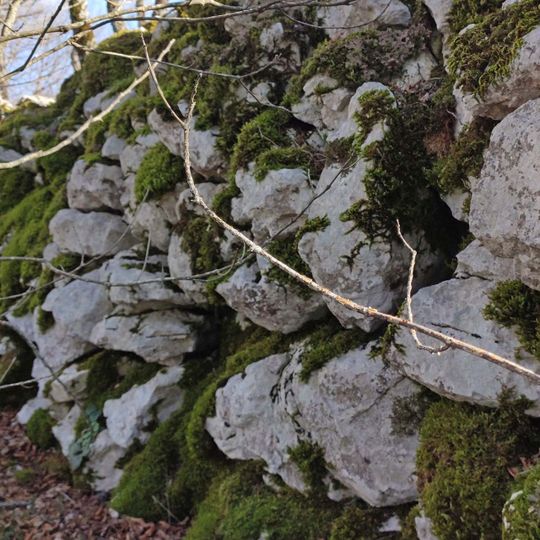 Cinta muraria megalitica