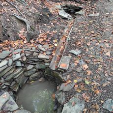 Liduščiny studánky