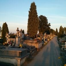 Cemetery in Końskie