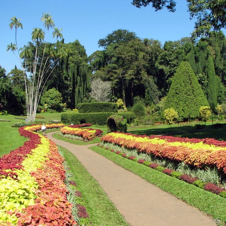 Giardini Botanici Reali di Peradeniya